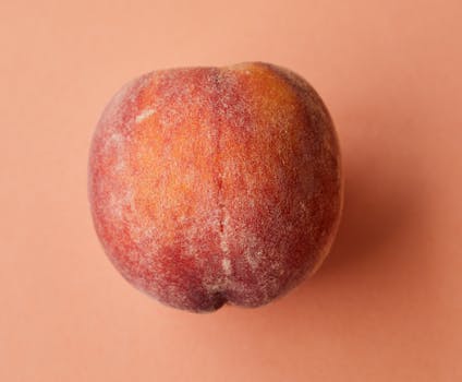 food, peach, nectarine, fruit, fruits, healthy food, deciduous, juicy, sweet, red, healthy, fresh, organic, raw, vitamin, tasty, vegetarian, vegan, diet, juice, dieting, summer fruit, brown food, brown summer, brown healthy, brown fruits, brown diet, peach, peach, peach, peach, peach